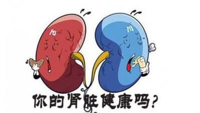 慢性腎臟病包括哪些疾病？